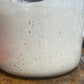 3 Pack of Active Dehydrated Organic Sourdough Starter “Aurora”