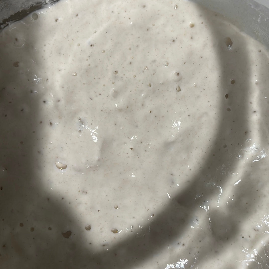 5 Pack of Organic Dehydrated Active Sourdough Starter “Aurora”