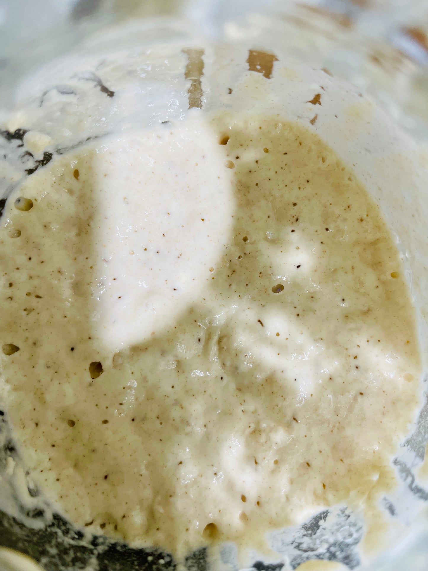 Active Organic Dehydrated Sourdough Starter