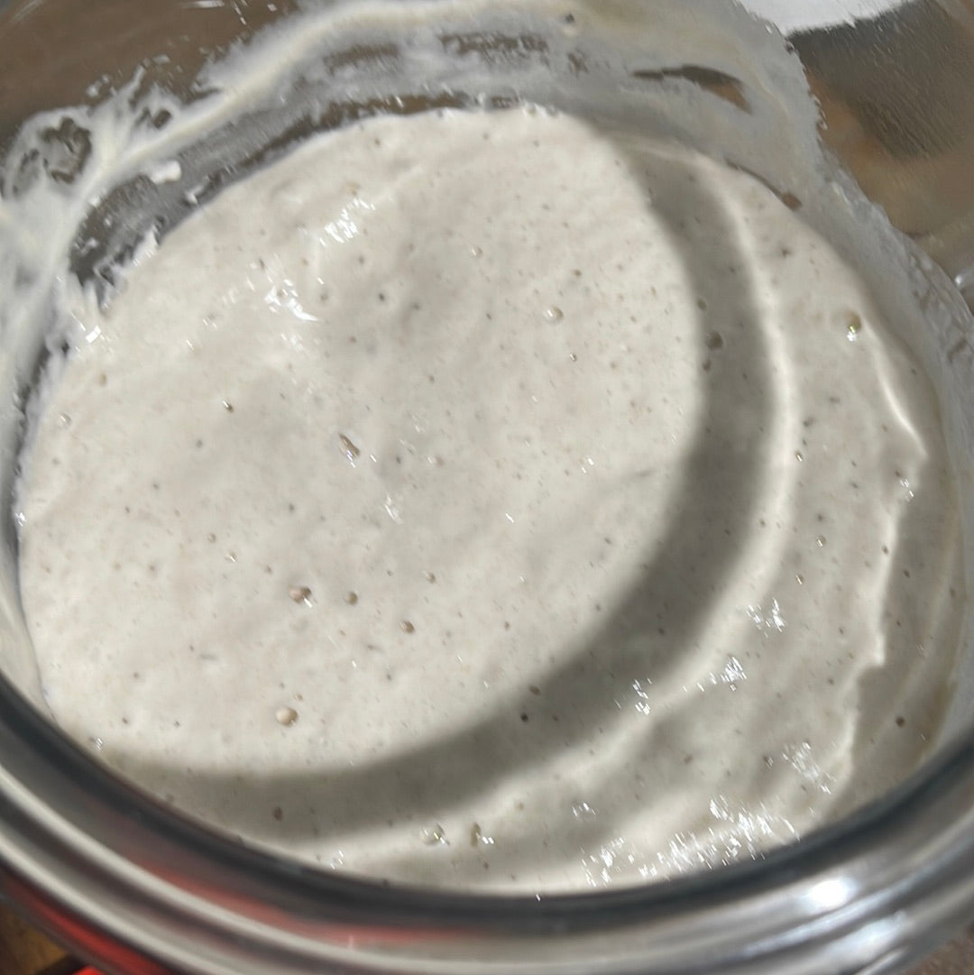 3 Pack of Active Dehydrated Organic Sourdough Starter “Aurora”