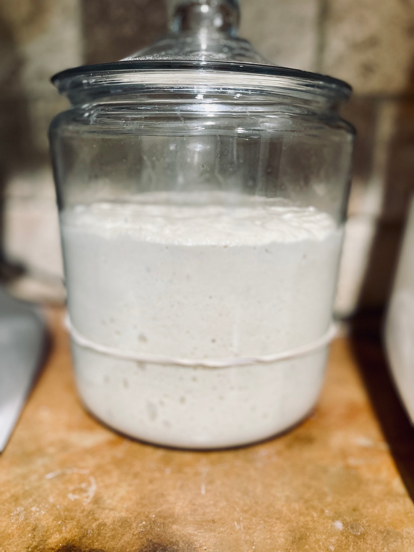 Active Organic Dehydrated Sourdough Starter