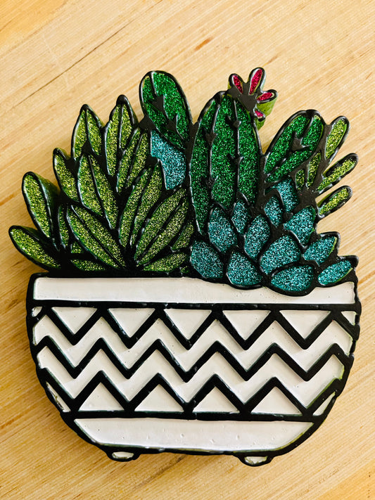 Modern succulents